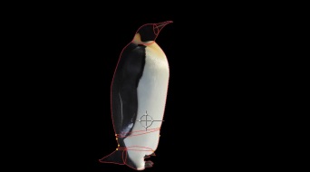 penguin-premult